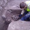 Careful excavation of animal bone